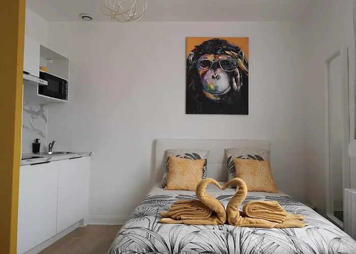STUDIO COSY- CHALEUREUX- QUARTIER CALME- Wifi